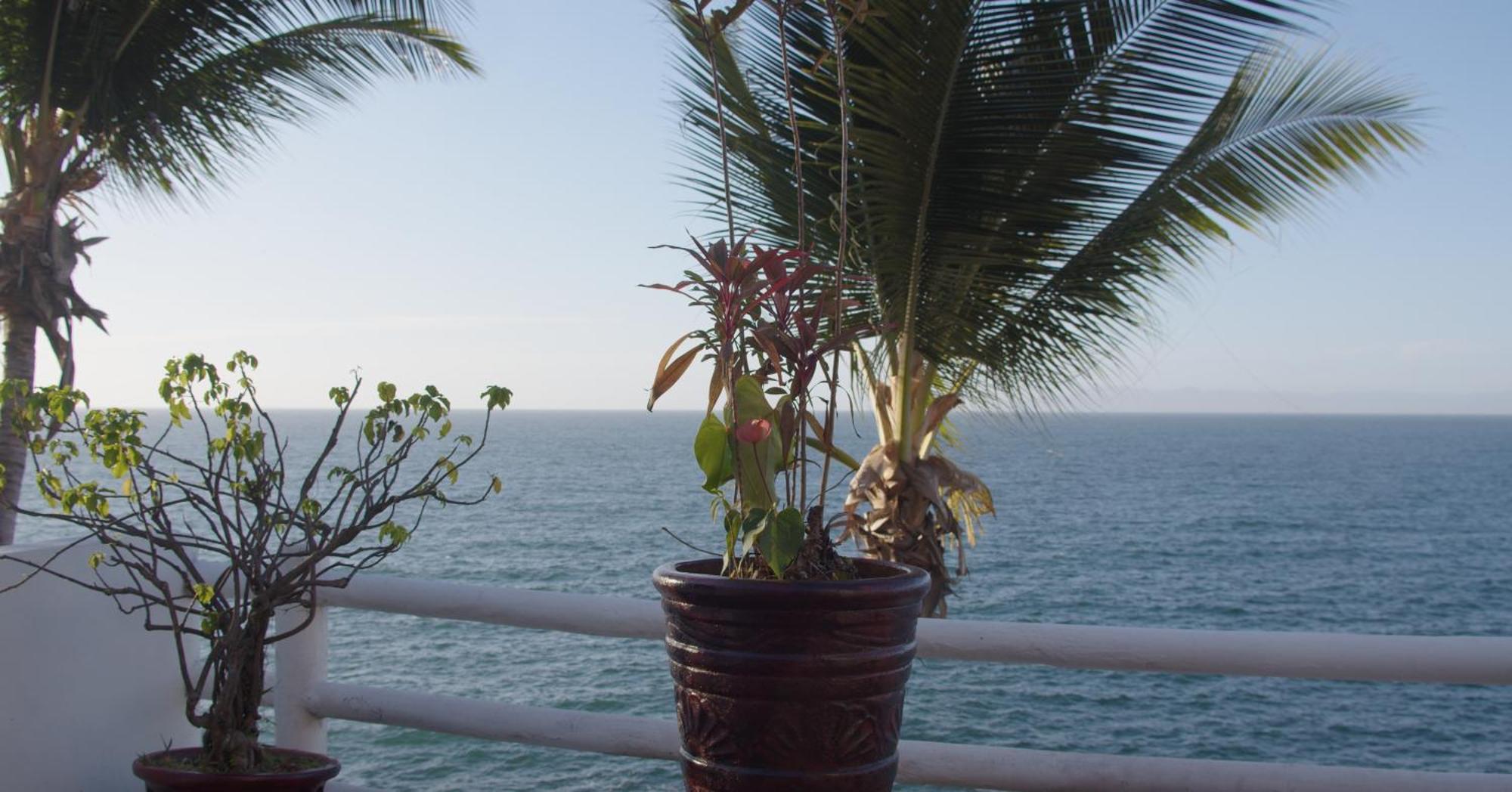 Traditional Sierra Leon Oceanfront Rooms - Adults Only 巴亞爾塔港 外观 照片